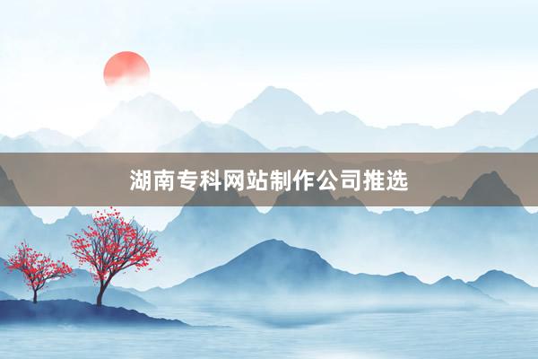 湖南专科网站制作公司推选
