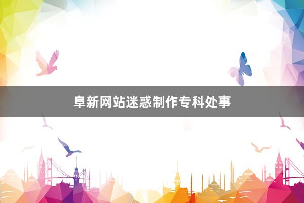 阜新网站迷惑制作专科处事