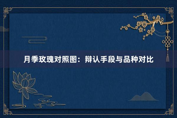月季玫瑰对照图：辩认手段与品种对比